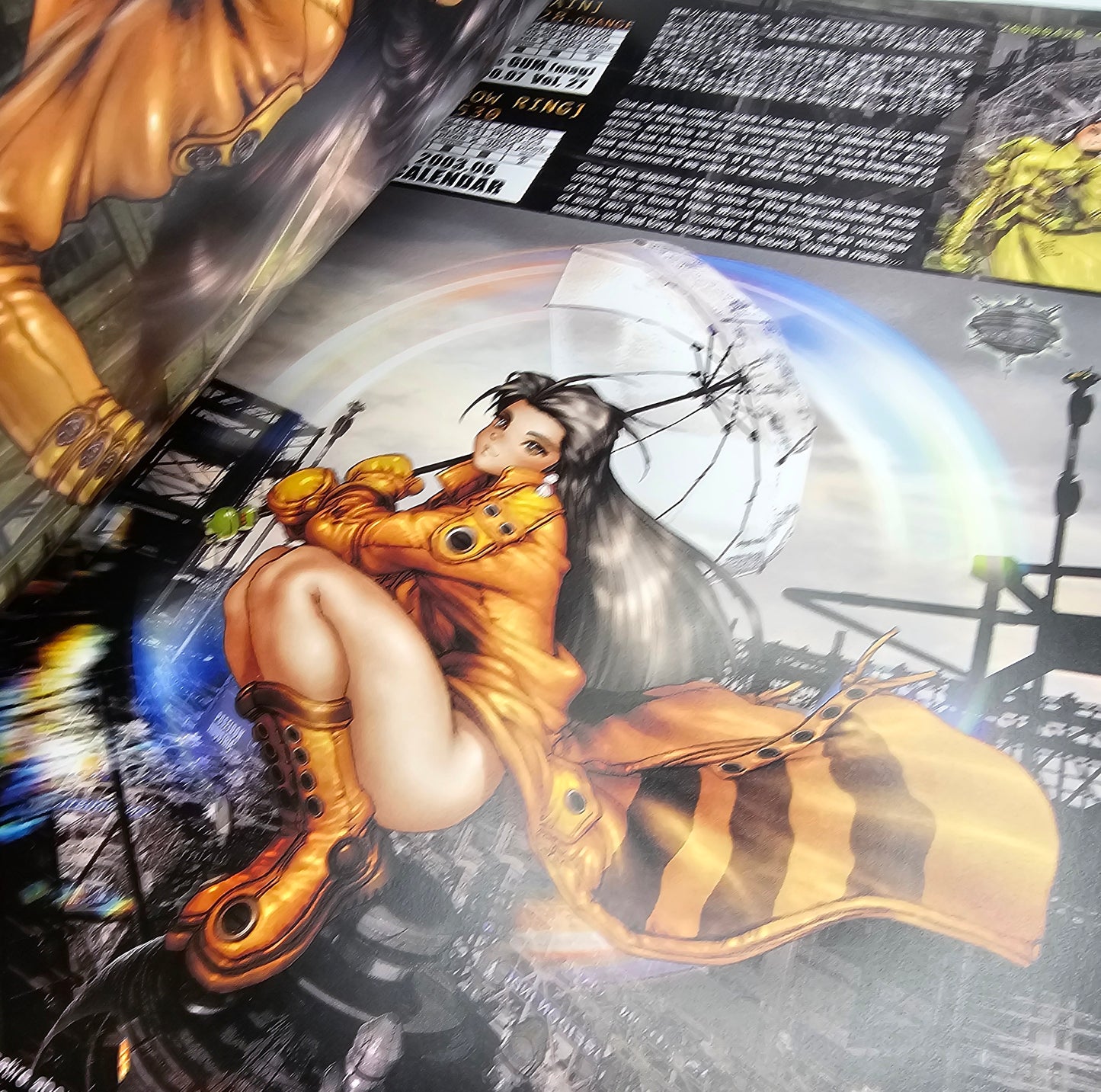 Intron Depot 3: Ballistics (A Collection of Masamune Shirow's Full Color Works 1992-2002)