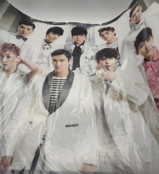 Elf Super junior Japan tour Poster vinyl