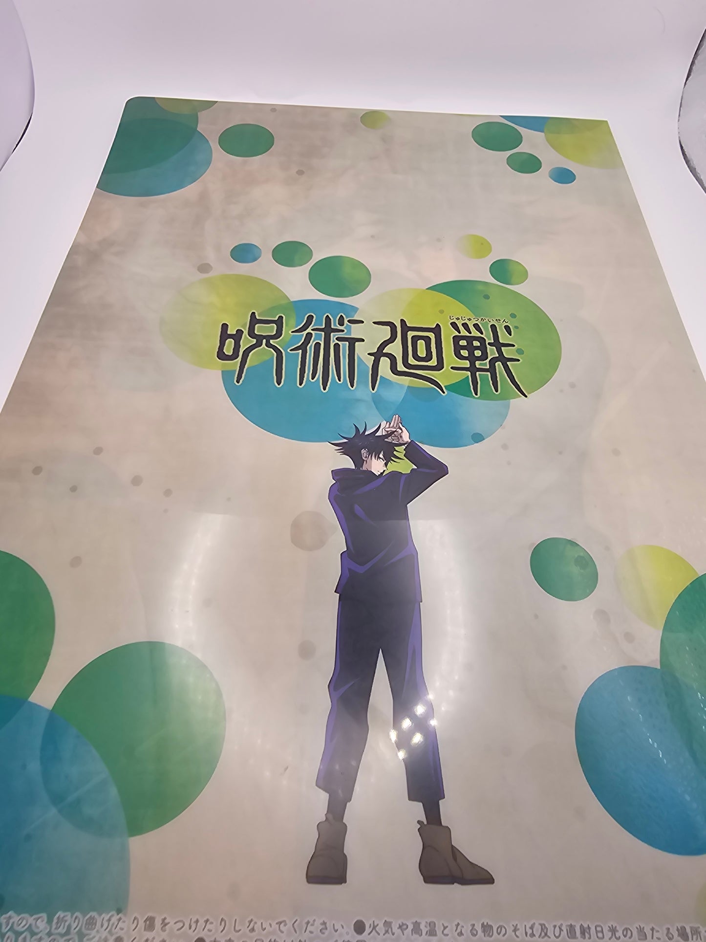 Jujutsu Kaisen Megumi Fushiguro Clear File